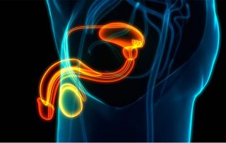 Gutartige Vergrößerung der Prostata, Prof. Dr. Michael Eisenmenger