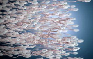 Spezialisierungen, Fertilität und Samentest, Prof. Dr. Michael Eisenmenger